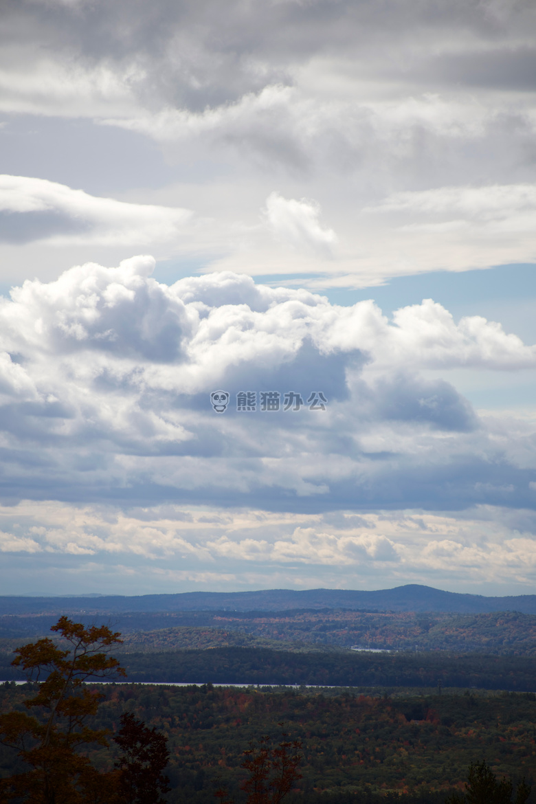 云 山 树