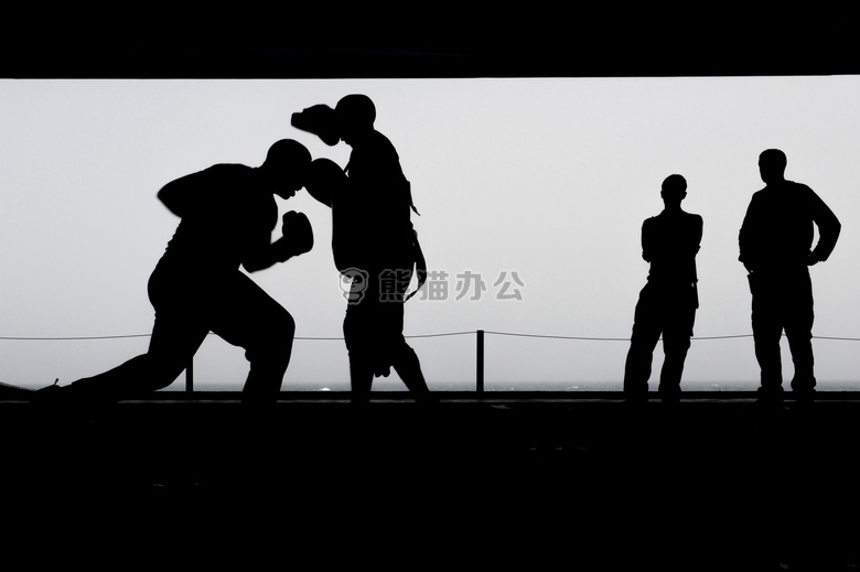 黑白 拳击 运动