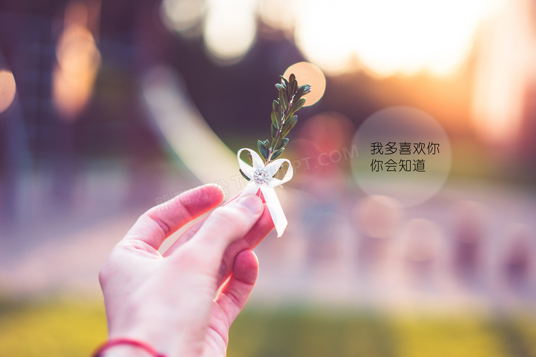 唯美爱情文字图片 唯美爱情文字图片大全