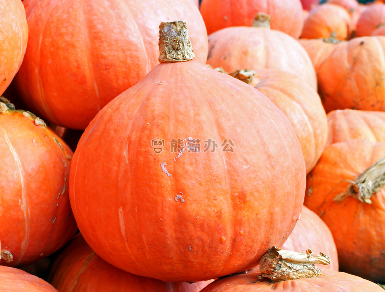 秋天 丰富多彩的 德科