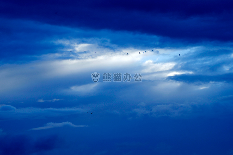 鸟 蓝色 天空