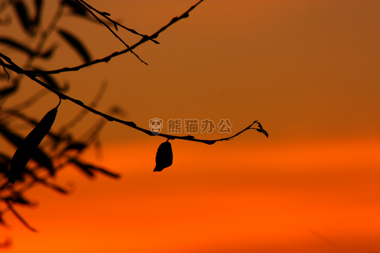 黑色 黄昏 傍晚
