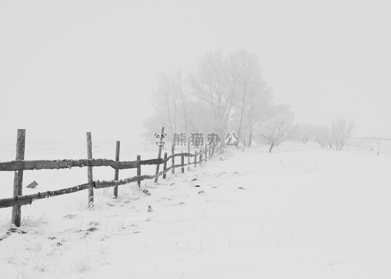 栅栏 雪 树