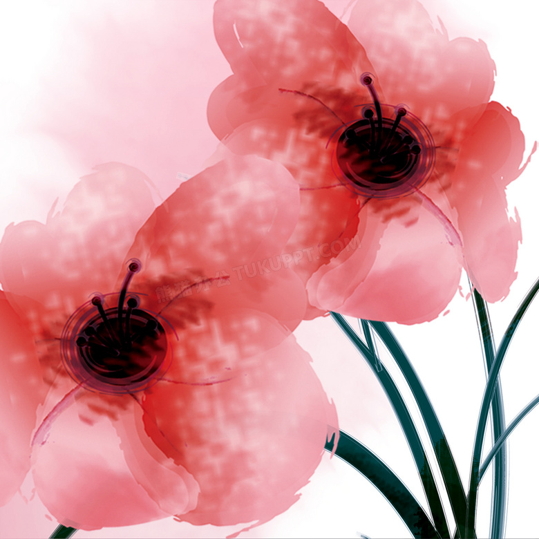 红色水彩花朵室内装饰挂画高清图片