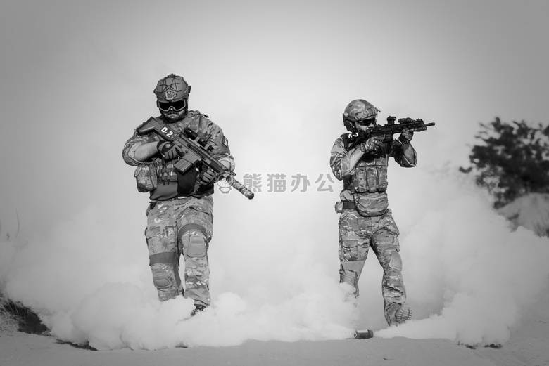 行动 武装 军队