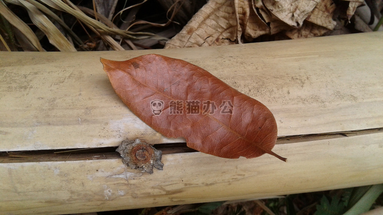 竹 模糊 板