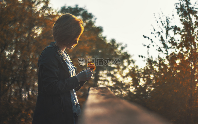 秋天 美丽的 模糊