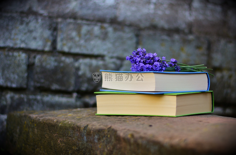长凳 模糊 书