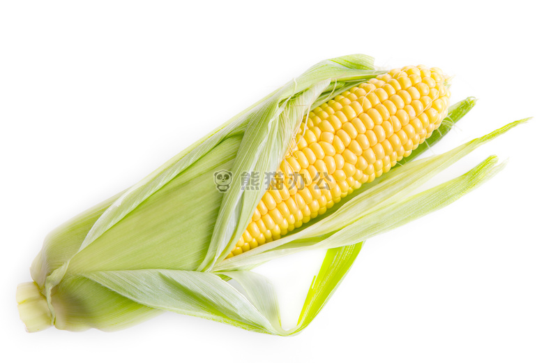 农业 明亮的 谷物