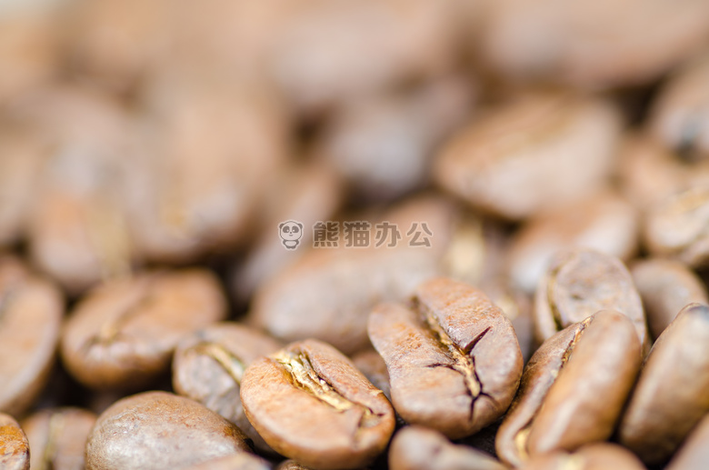 阿拉伯 阿拉比卡咖啡 芳香