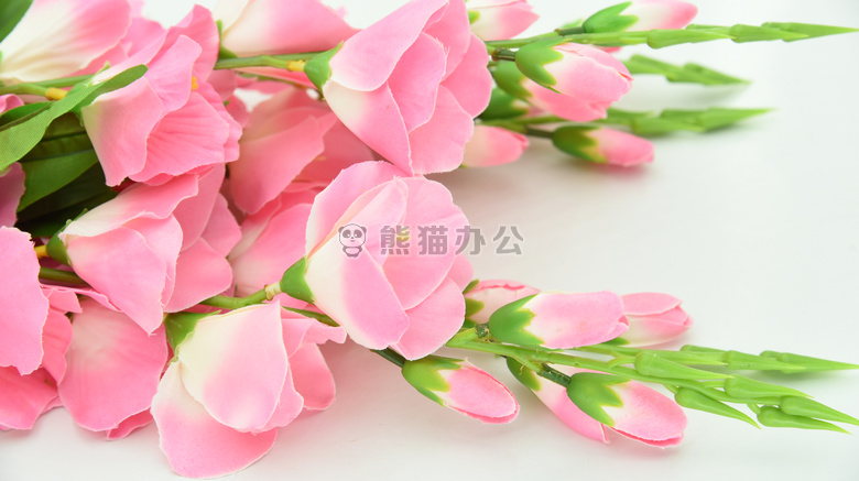 美丽的 花 开花