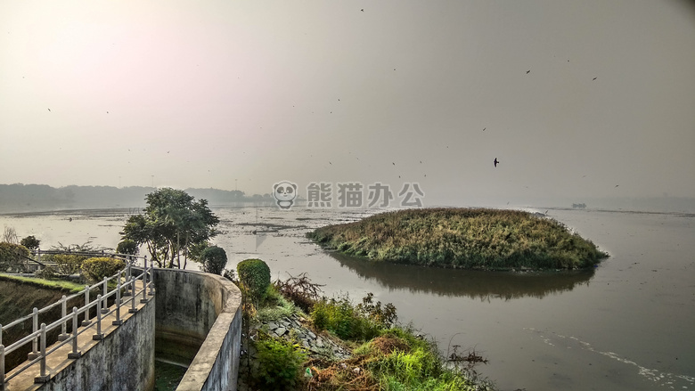 背景 形象 金色的