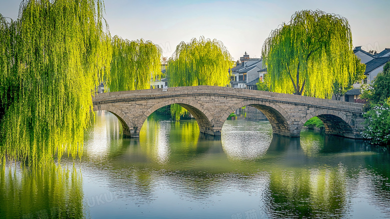 茂盛的柳树与古建筑风景图片