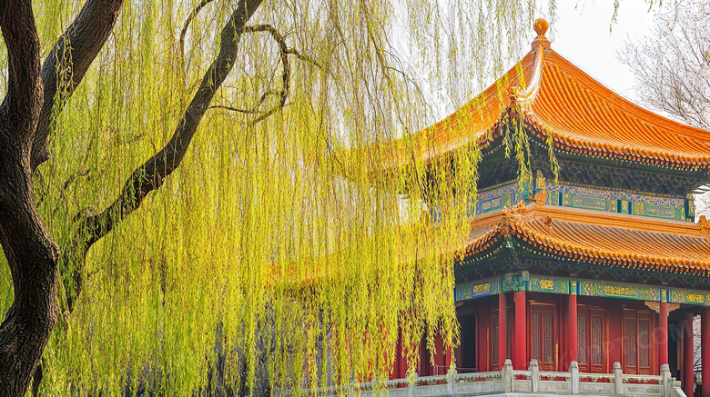 茂盛的柳树与古建筑风景图片