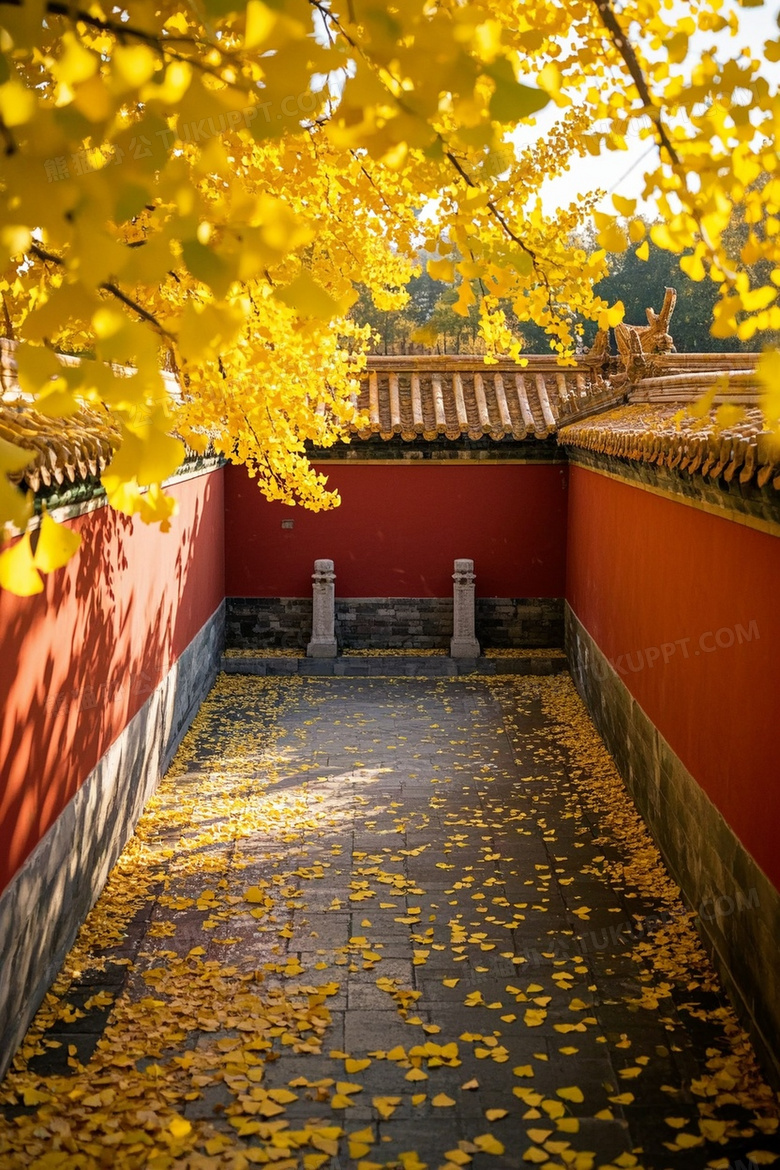 画面质量8K分辨率超清画质