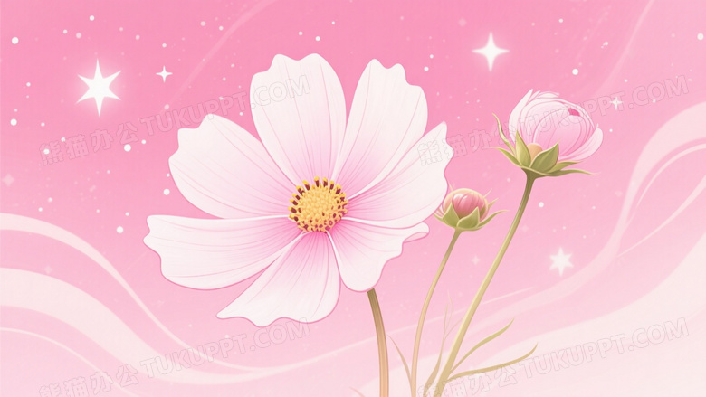 手绘粉色 cosmos 花朵星空背景图片