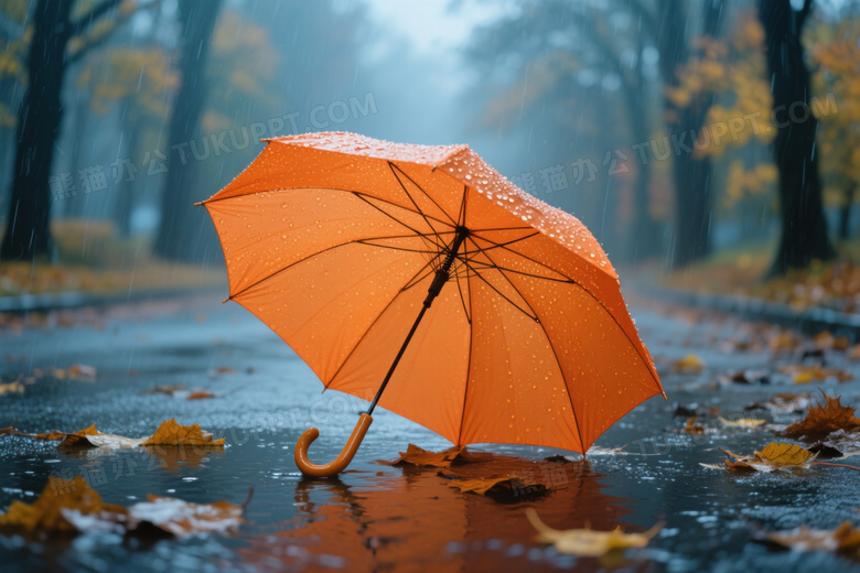 橙色雨伞插落叶积水浅景深图片