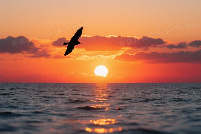 飞鸟剪影日落海面高清图片