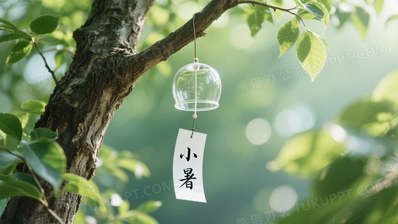 玻璃风铃挂树干小暑纸签图片