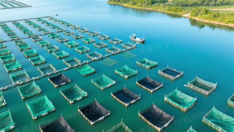 俯拍水产养殖基地网箱图片