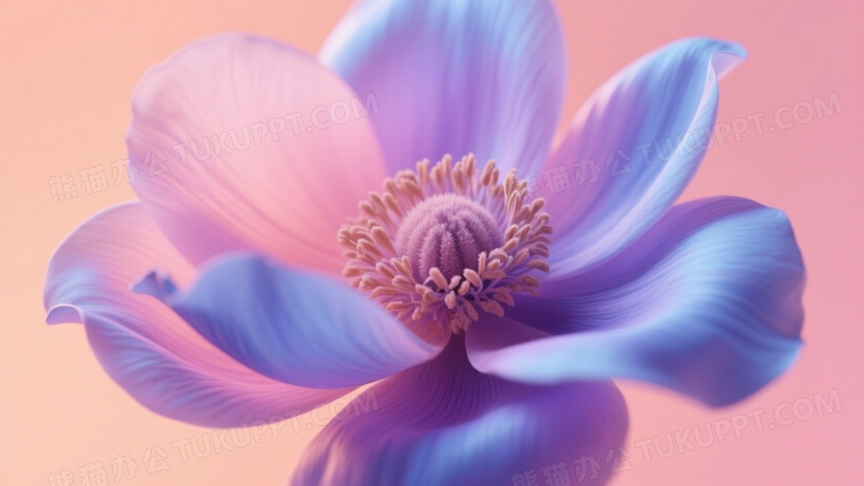 抽象紫蓝粉花朵柔光高清图片