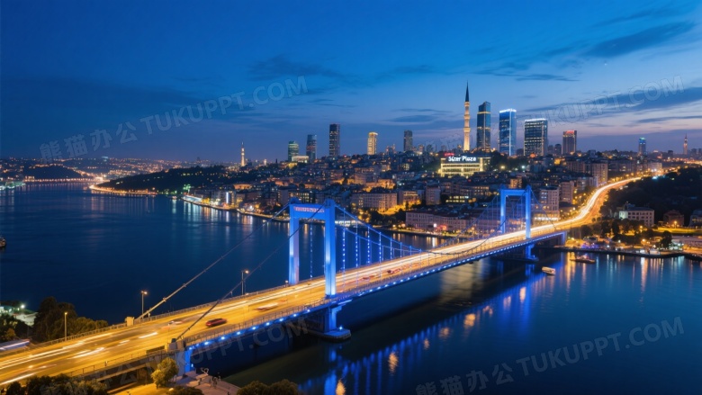 伊斯坦布尔海峡夜景悬索桥图片