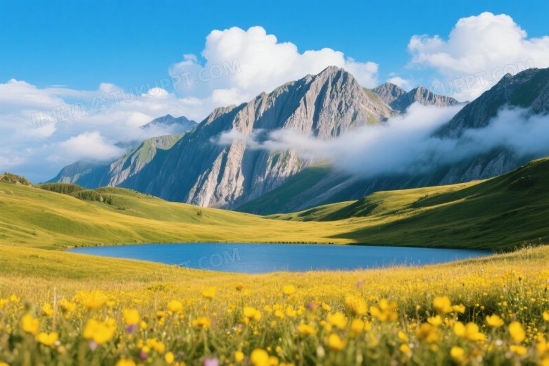 高山湖泊野花草原侧光图片