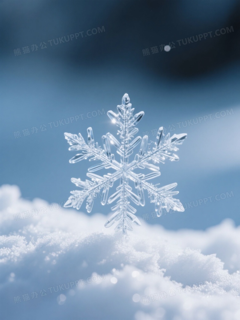 六角星形雪花特写逆光图片