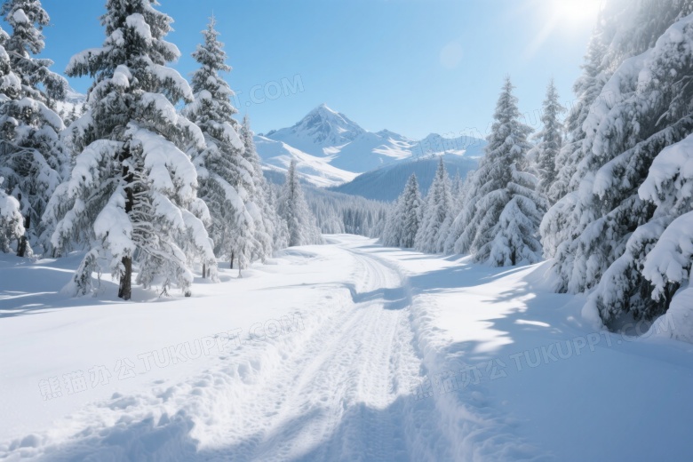 雪地小径穿松林远山映蓝天图片