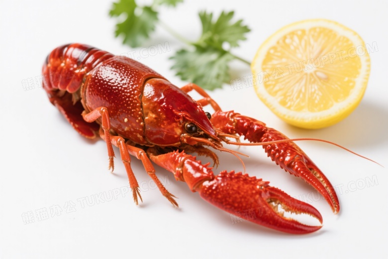 红油小龙虾配柠檬香菜图片