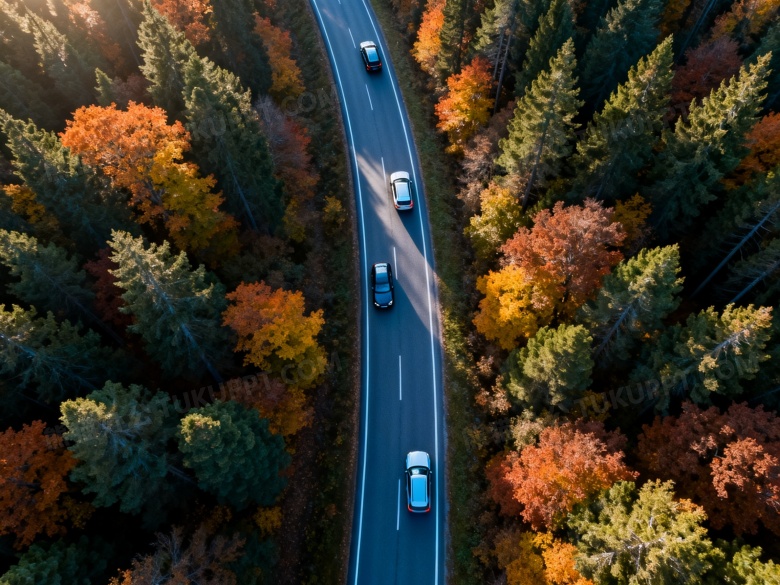 秋日森林公路俯拍图片