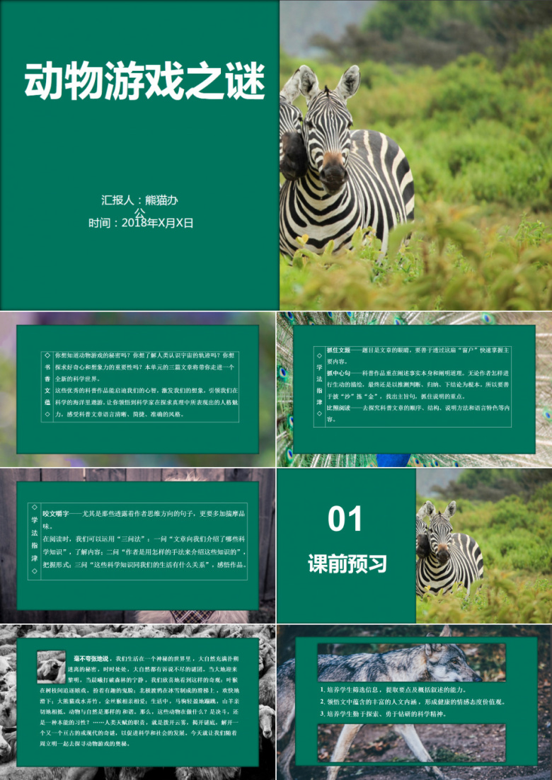 动物游戏之谜科普文章培训课件PPT模板