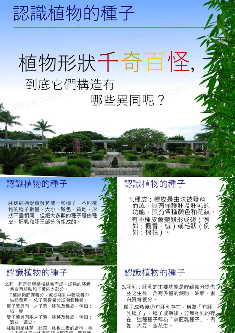认识植物的种子
