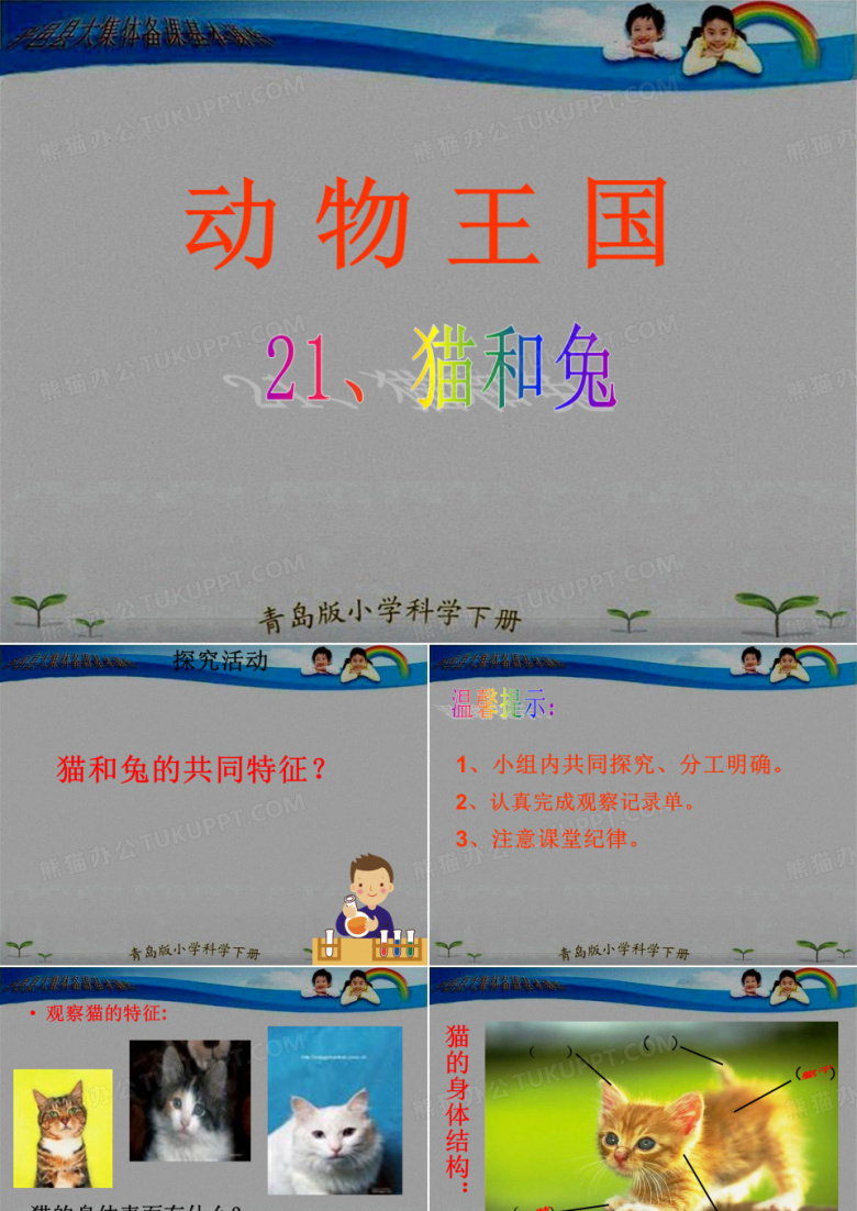 青岛版小学三年级科学下册《猫和兔》课件(&ldquo;动物&rdquo;相关文档)共16张