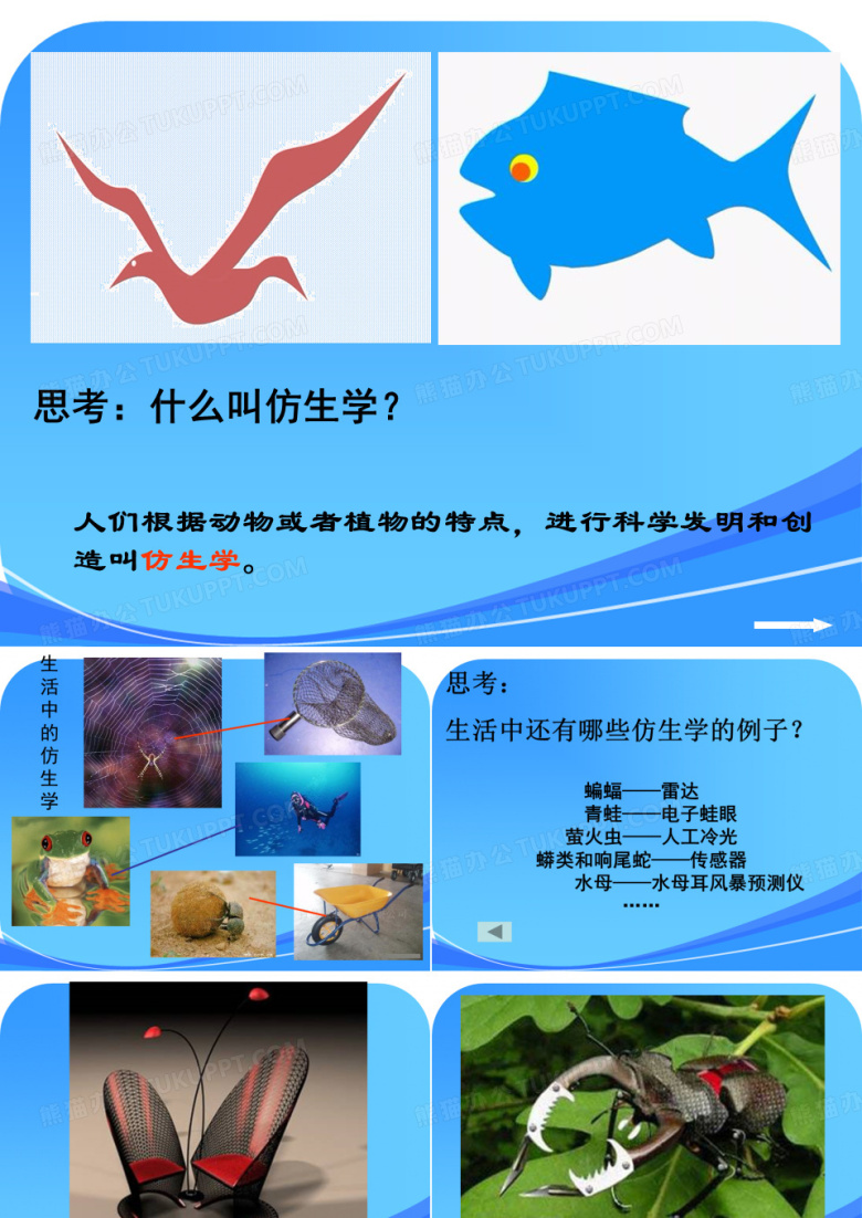 小学美术六年级上册《向动物朋友学习》精品课件