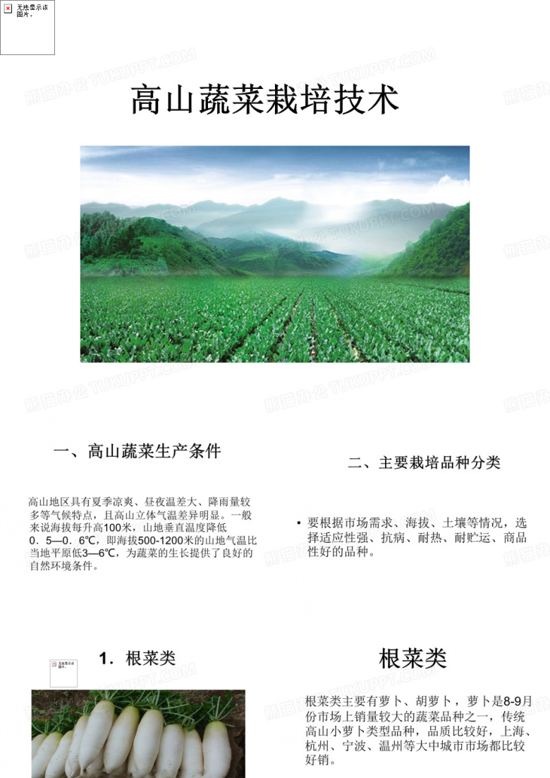 高山蔬菜栽培技术