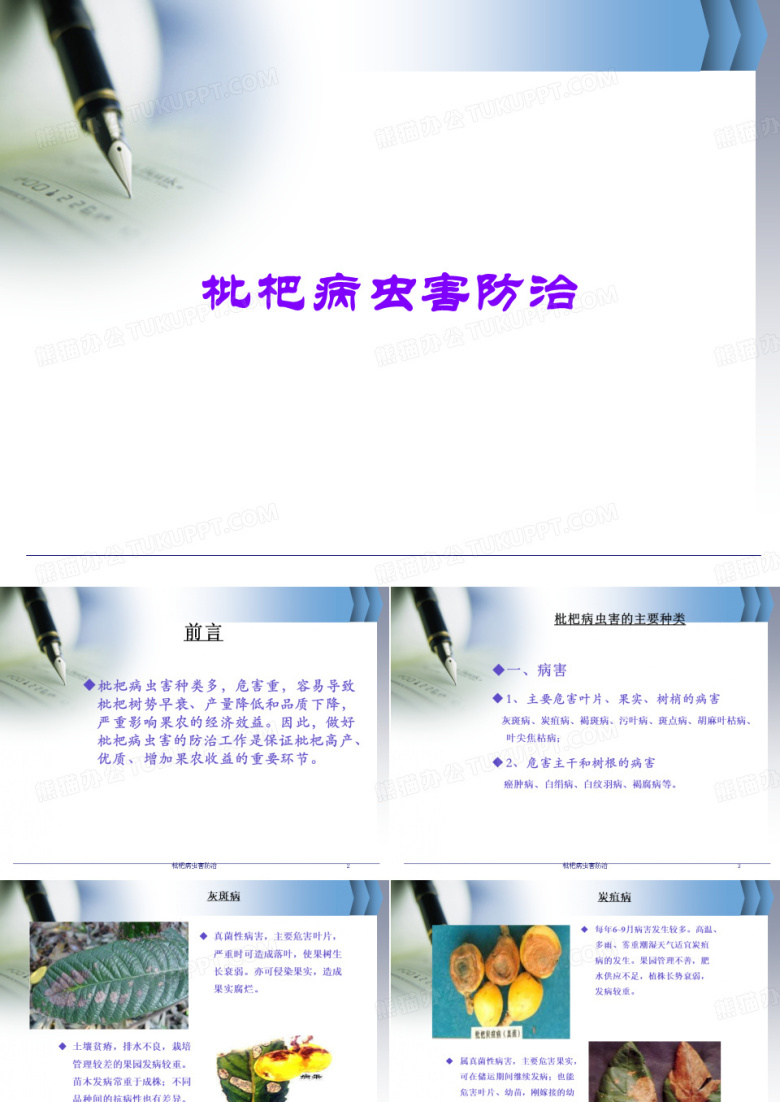 枇杷病虫害防治
