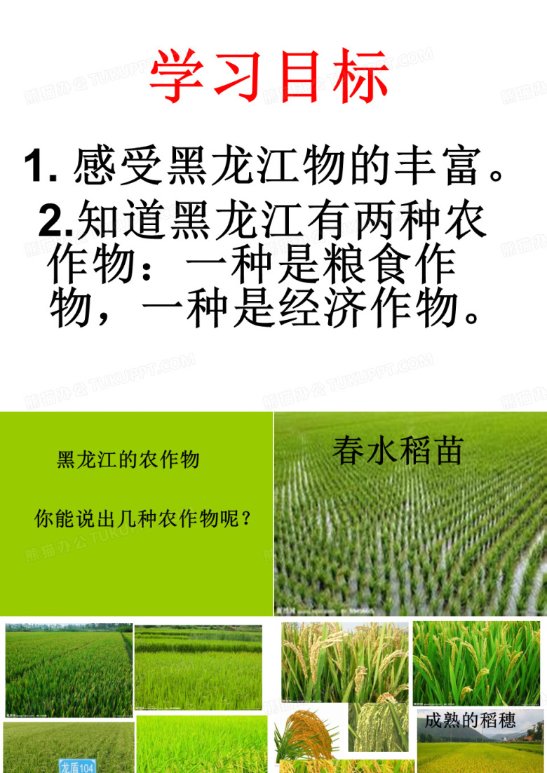 黑龙江农作物