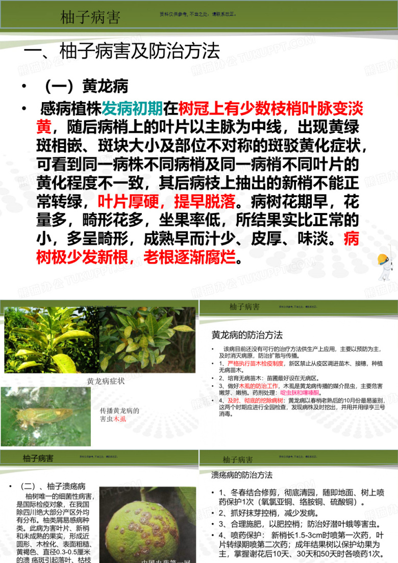 柚子的病虫害和防治方法