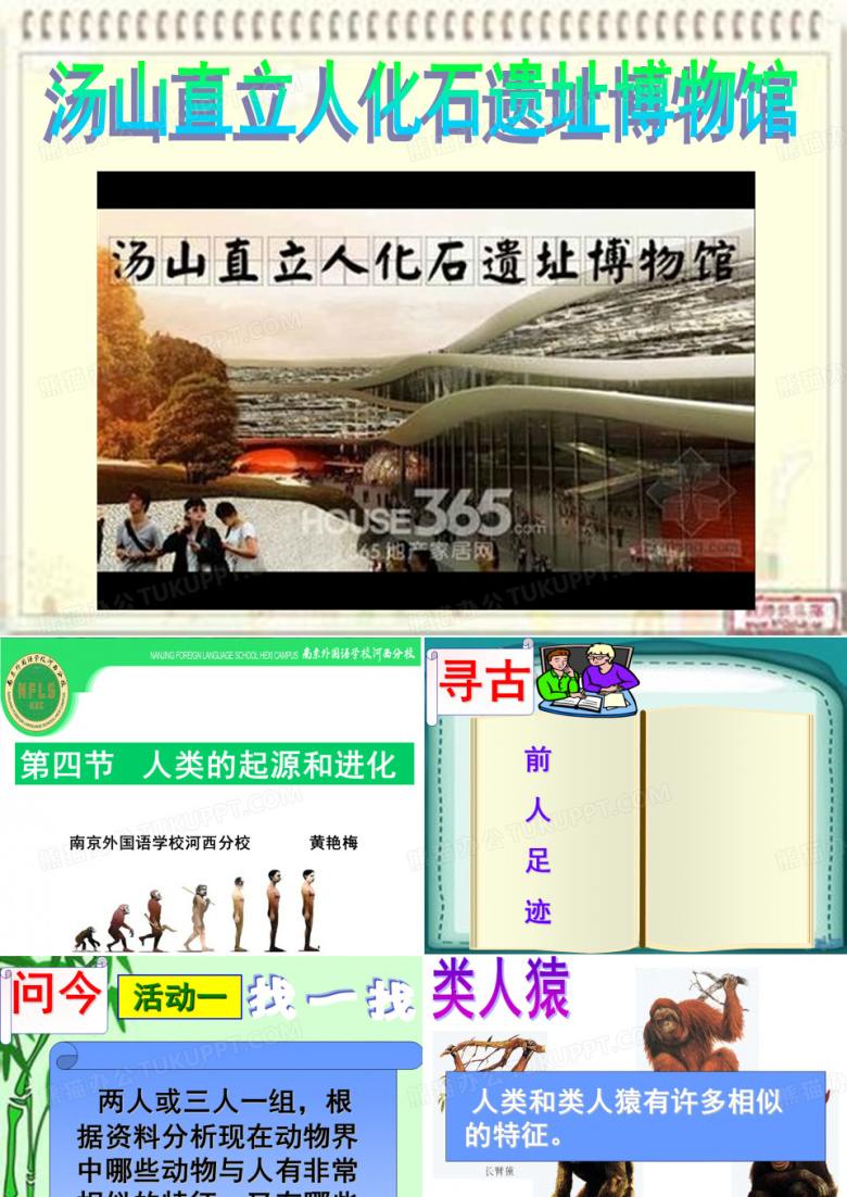 人类进化