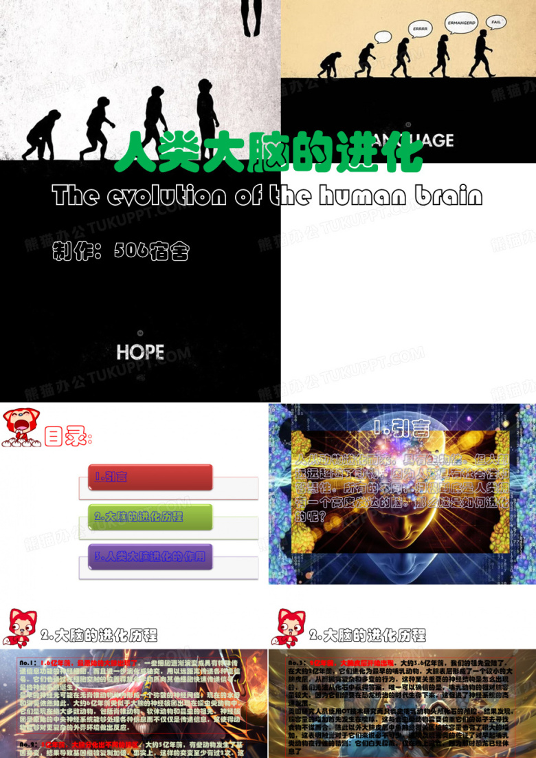 人类大脑的进化