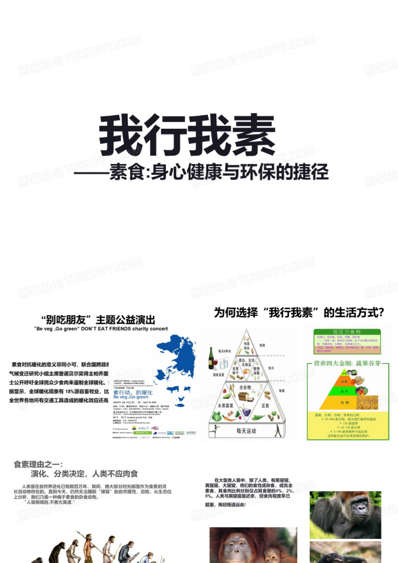 素食理念介绍