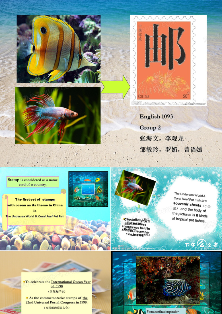 海洋文化PPT