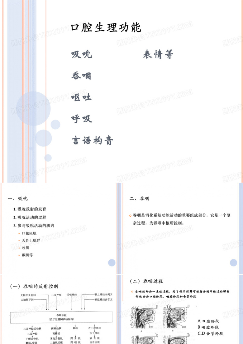 口腔医学&mdash;口腔生理功能