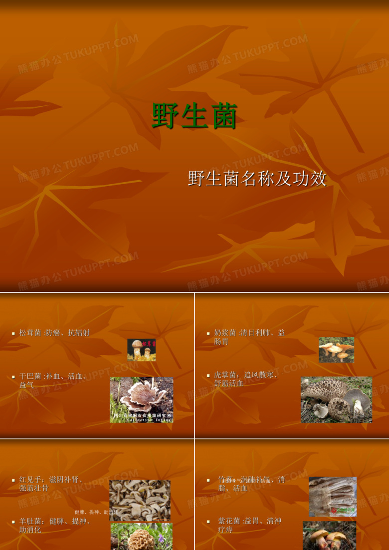 野生菌功效