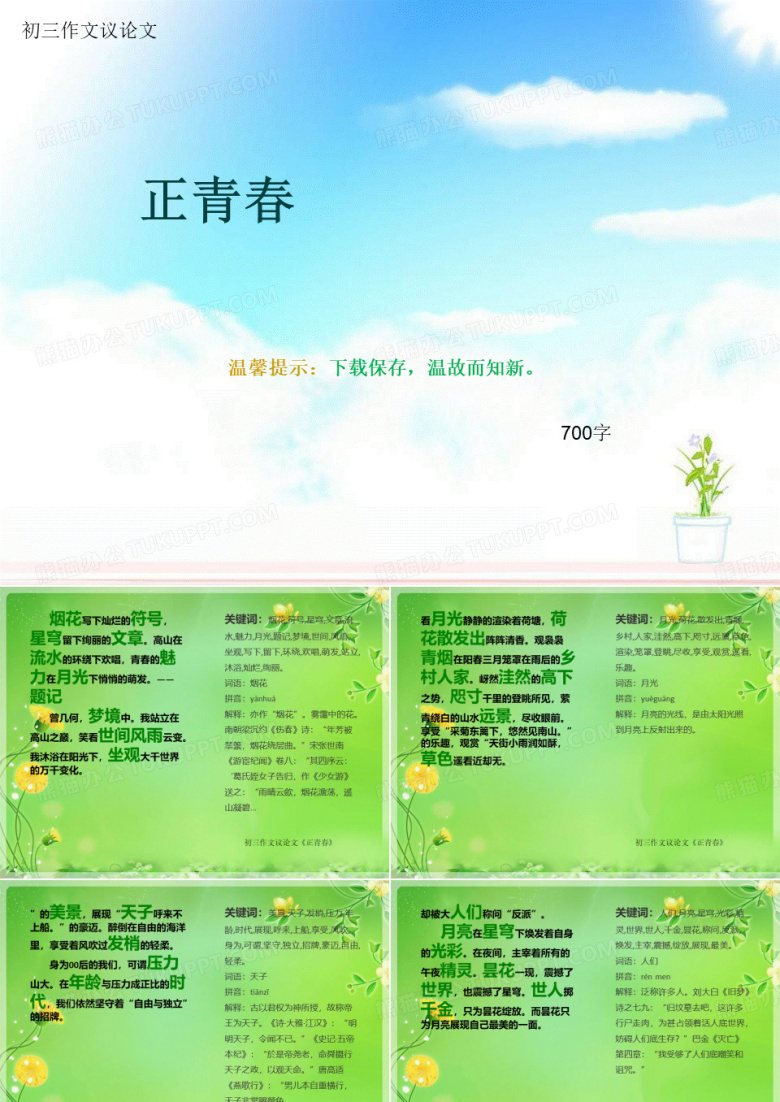 初三作文议论文《正青春》700字