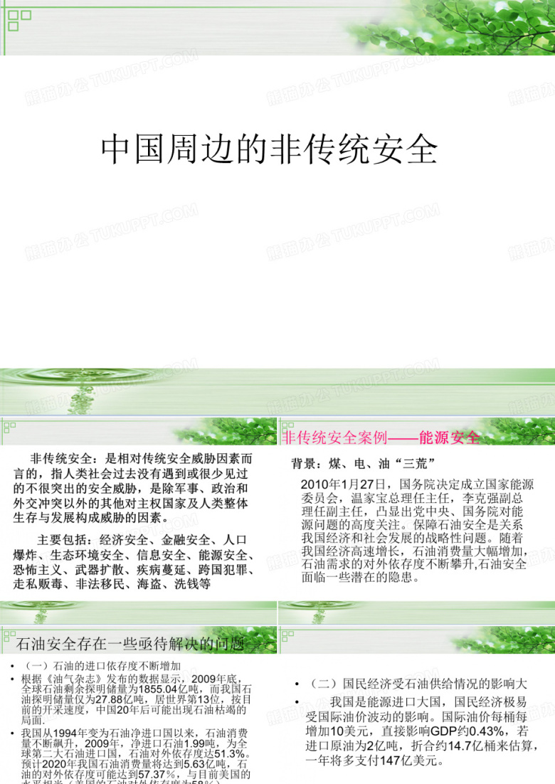 中国非传统安全案例-能源安全