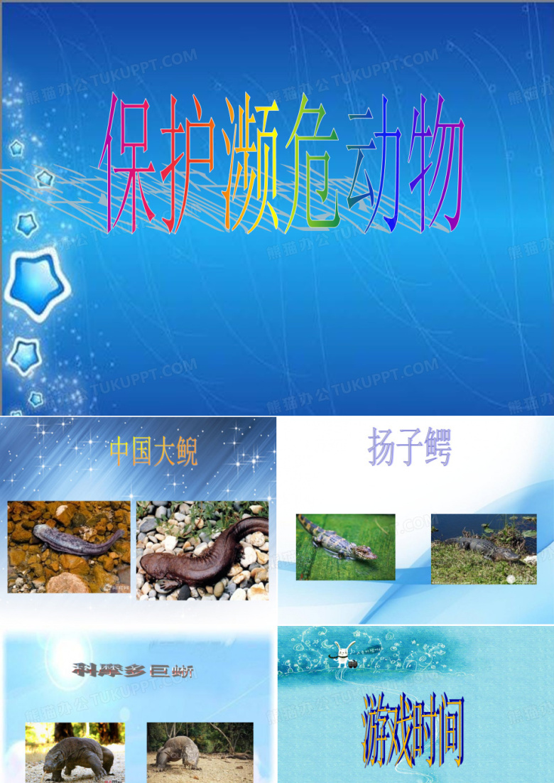 保护濒危动物ppt