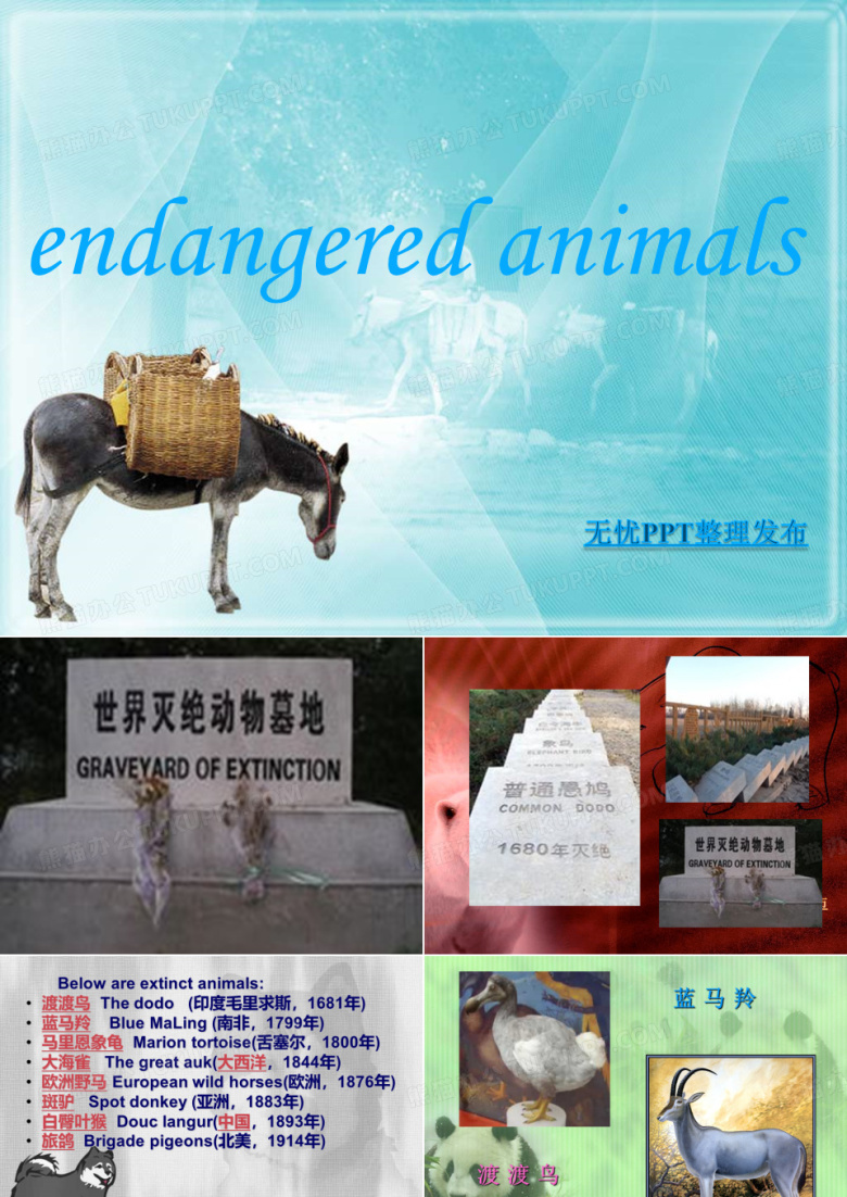 保护濒危动物动物英语口语