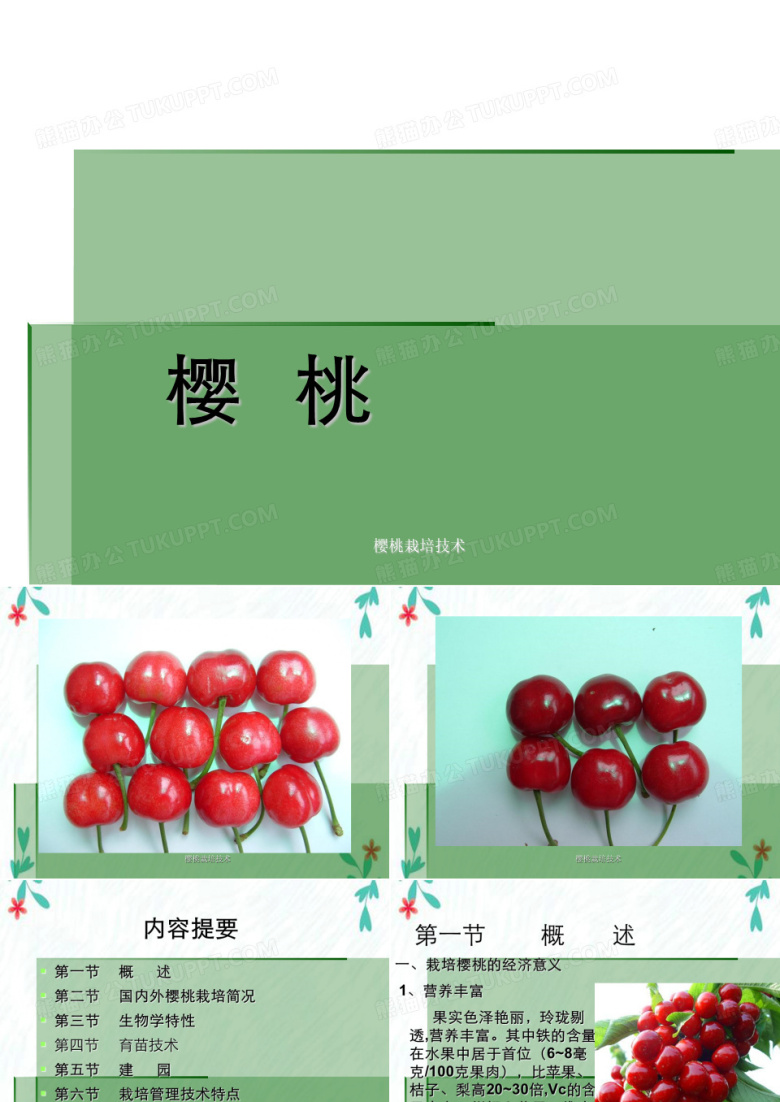 樱桃栽培技术